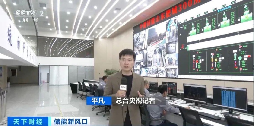 “超级充电宝”来了！全球最大，昨天并网发电